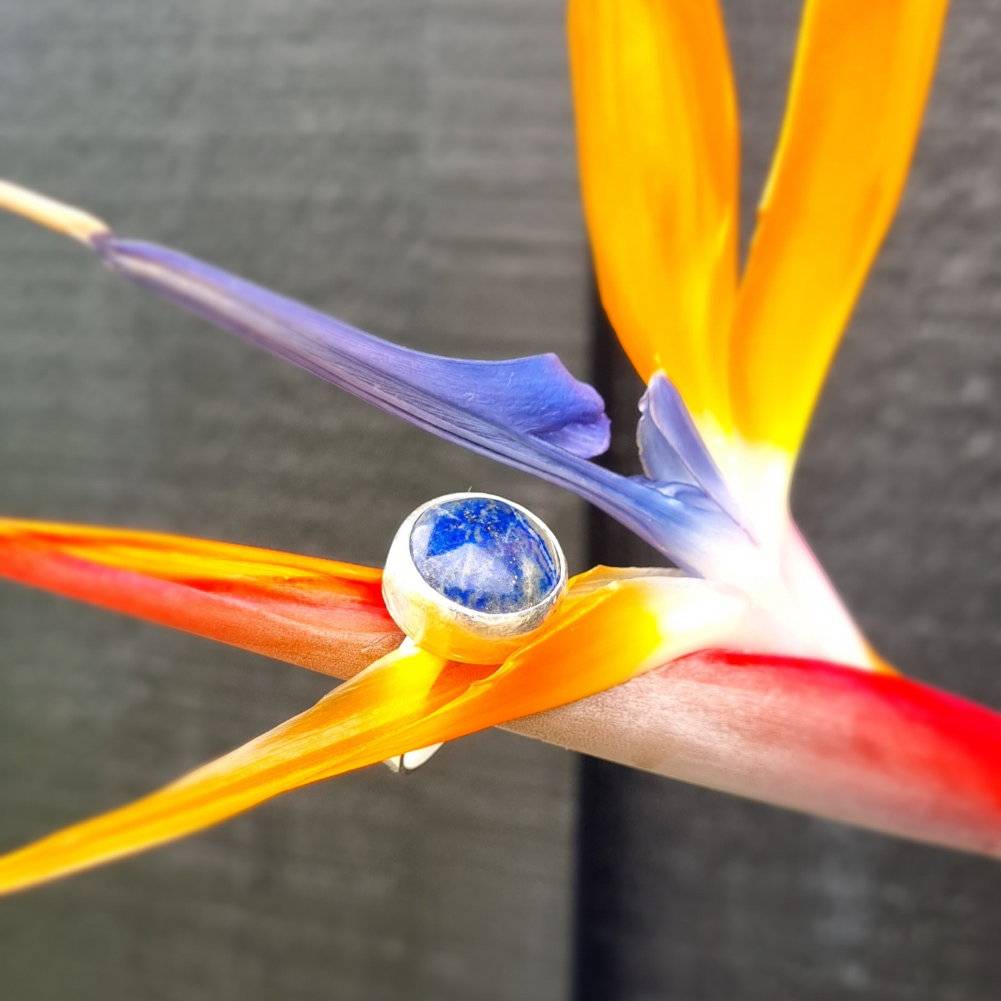 Lapis Lazuli bezel-set ring