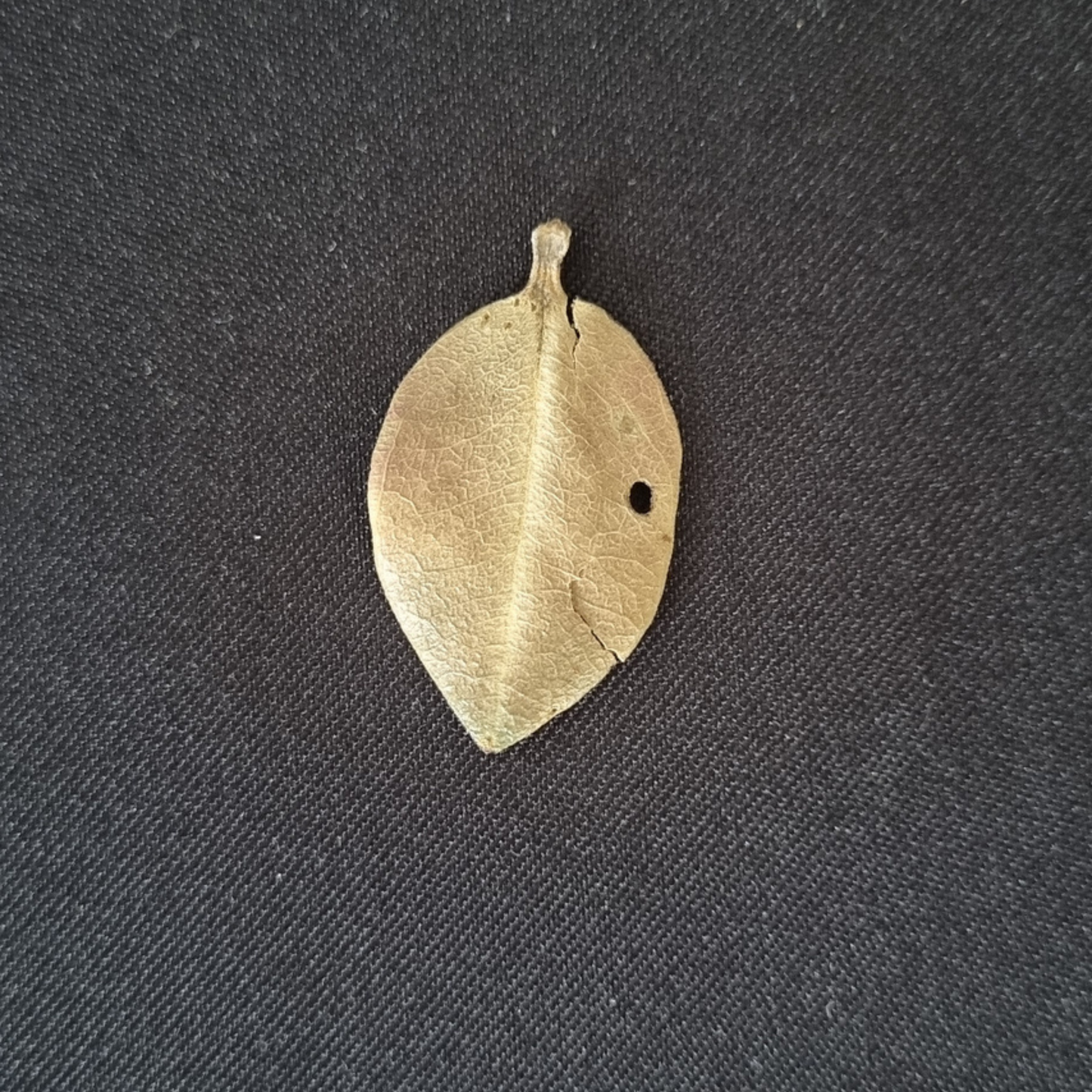 Pōhutukawa leaf earrings in brass